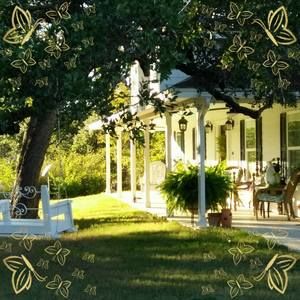 Meet your Posher, Trinda